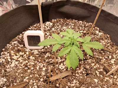 WhatsApp 2024-10-27 в 20.25.26_b6ec0f30.jpg