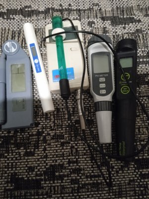 IMG_20241028_061750.jpg IMG_20241028_061750.jpg