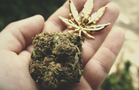 1730109576087.png 1730109576087.png